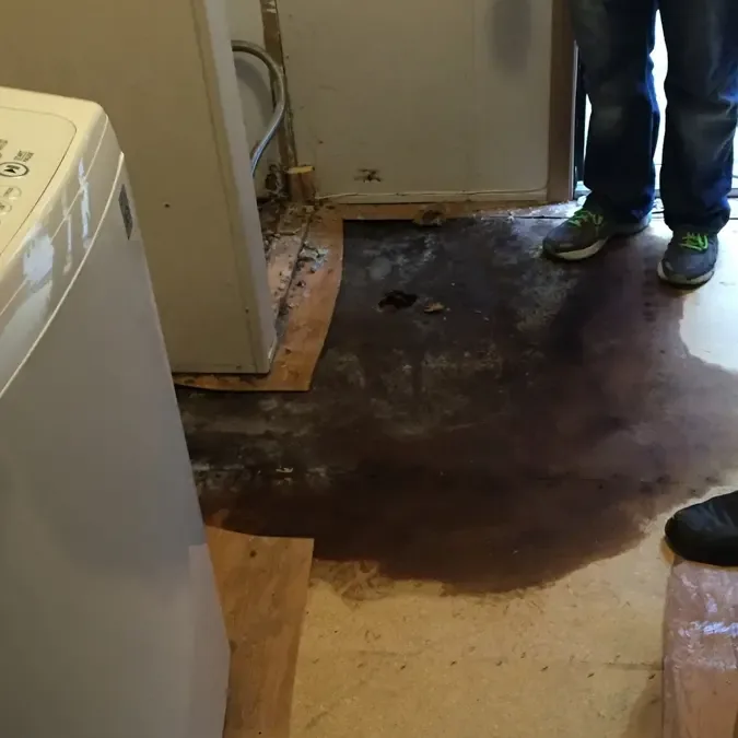 Pooled water at the base of a laundry appliance