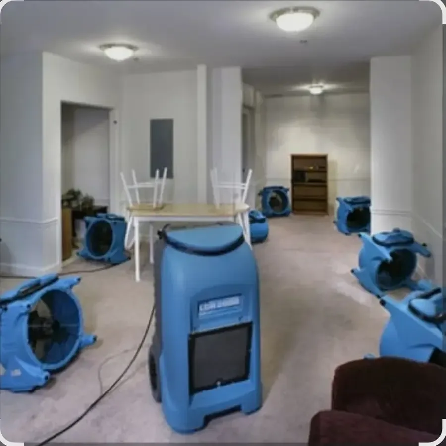 Air movers and a dehumidifier drying a carpeted room after a water loss