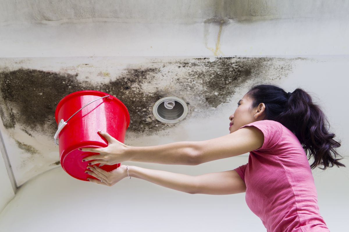 Water Damage,